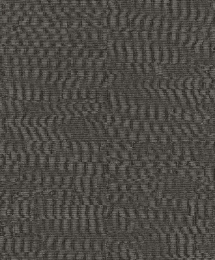 Černá vliesová tapeta na zeď, RTS504, Aquila, Mysa, Summer, Wall Designs III, Khroma by Masureel