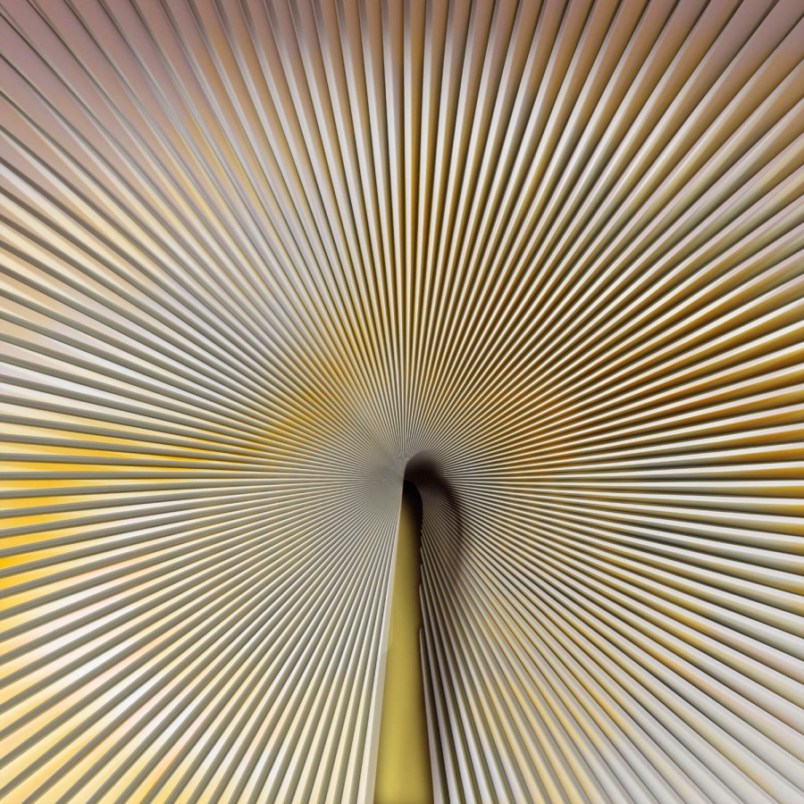 Luxusní fototapeta na zeď, Sunshine, Z18991, Trussardi 7, Zambaiti Parati - Trussardi