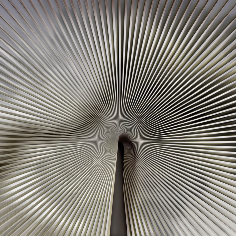 Luxusní fototapeta na zeď, Sunshine, Z18990, Trussardi 7, Zambaiti Parati - Vliesové tapety