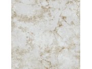 Šedo-zlatá vliesová tapeta na zeď, štuk, beton, 16681, Friends & Coffee, Cristiana Masi by Parato 