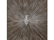 Luxusní vliesová fototapeta na zeď, Z30357, Casa 8, Trussardi 