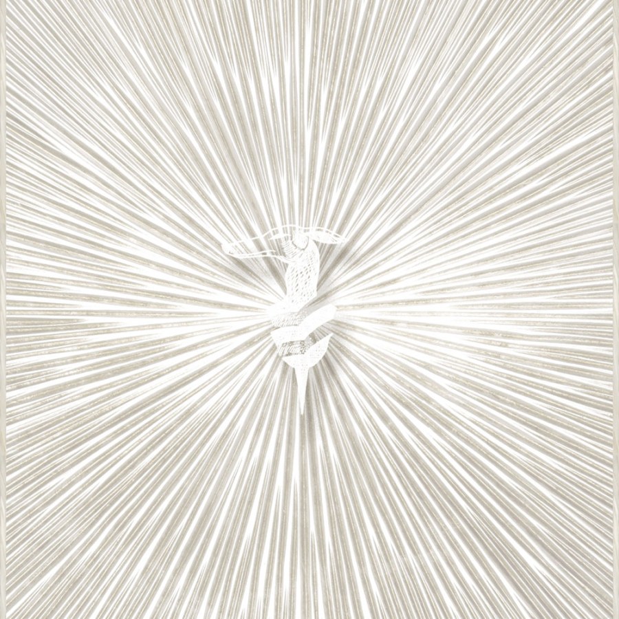 Luxusní vliesová fototapeta na zeď, Z30356, Casa 8, Trussardi - Vliesové tapety