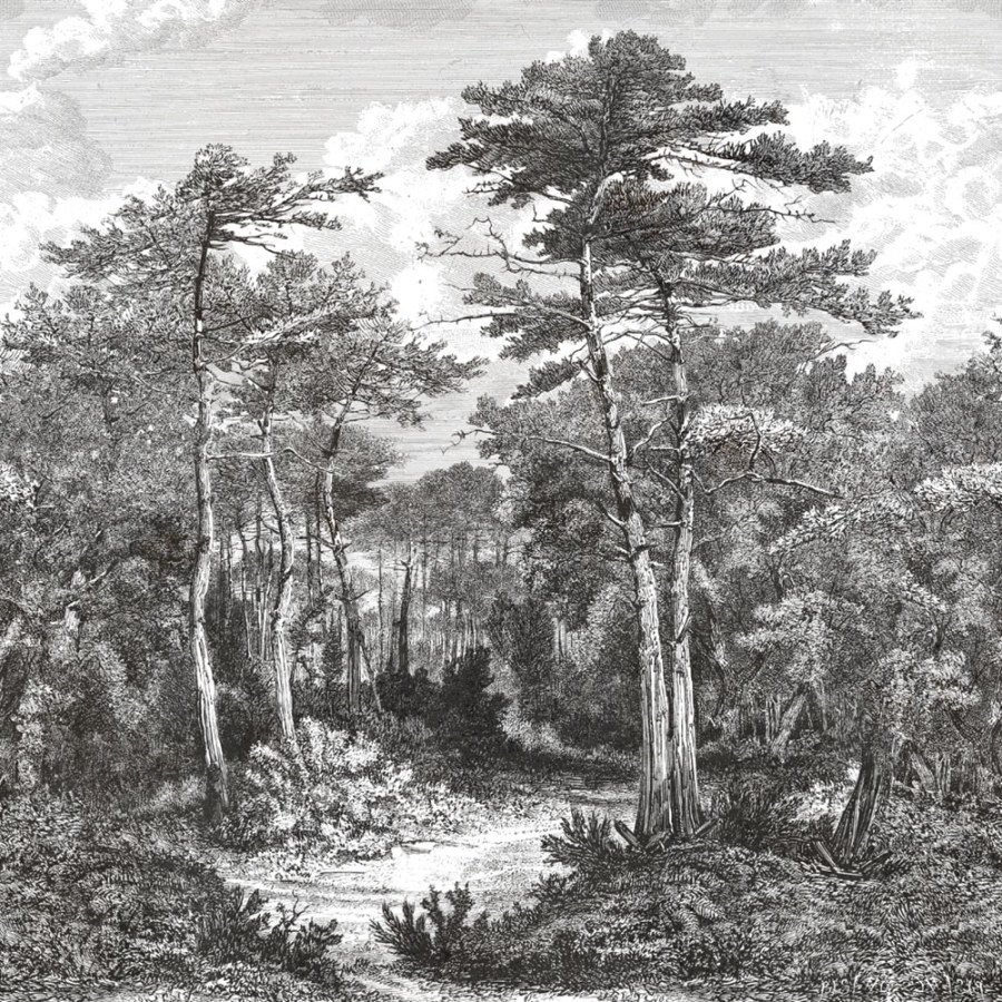 Luxusní vliesová obrazová tapeta na zeď, les, stromy, Z34968, Elie Saab 2 - Vliesové tapety