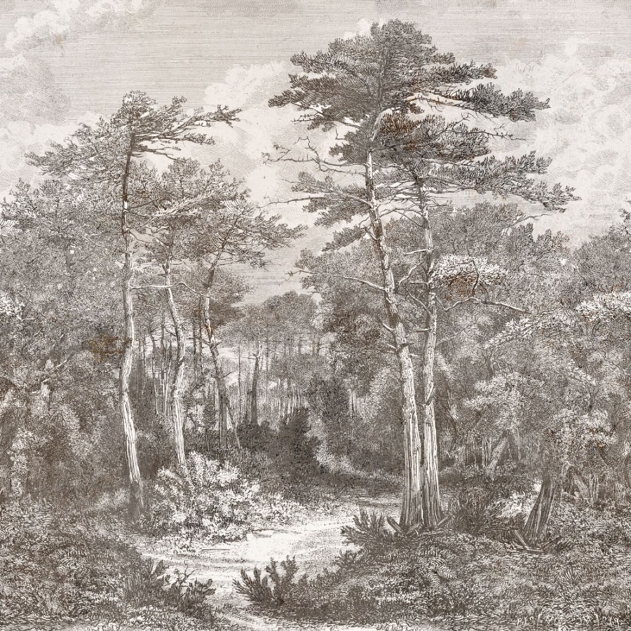 Luxusní vliesová obrazová tapeta na zeď, les, stromy, Z34965, Elie Saab 2 - Vliesové tapety