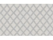 Vliesová tapeta na zeď, šedá, geometrická, 74017, Armonia, Emiliana Parati Tapety Yara - Emiliana Parati