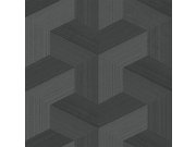 Vliesová tapeta na zeď, černá, grafický vzor, 347952, 3D Reflections, Origin