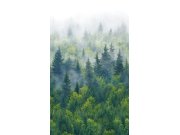 Vliesová fototapeta na zeď, zelená, stromy, les, 96453, Naomi, Novamur