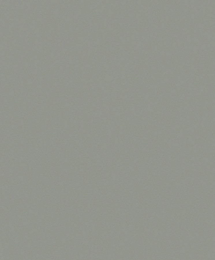 Vliesová tapeta na zeď, šedá, 82519, Naomi, Novamur - Novamur