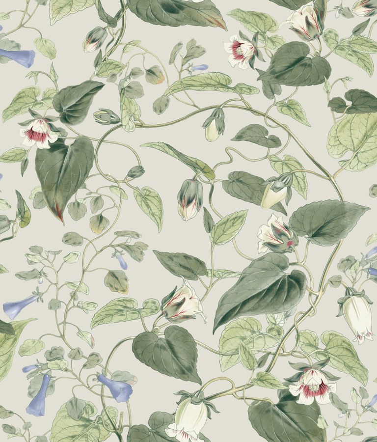 Květinová vliesová tapeta na zeď, BL1713, Blooms Second Edition Resource Library, York