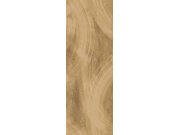 Hnědá vliesová fototapeta na zeď, štuk, stěrka, DG4CHA1021-260, Wall Designs IV, Khroma by Masureel