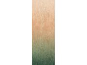 Vliesová fototapeta na zeď, Moiré, DG4MOI1083-260, Wall Designs IV, Khroma by Masureel