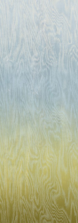 Vliesová fototapeta na zeď, Moiré, DG4MOI1073-300, Wall Designs IV, Khroma by Masureel - Khroma by Masureel