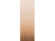 Vliesová fototapeta na zeď, Moiré, DG4MOI1043-300, Wall Designs IV, Khroma by Masureel