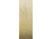 Vliesová fototapeta na zeď, Moiré, DG4MOI1011-300, Wall Designs IV, Khroma by Masureel