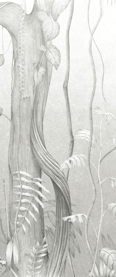 Šedá vliesová fototapeta na zeď, Listy, stromy, DG3MOE1012, Wall Designs III, Khroma by Masureel - Khroma by Masureel