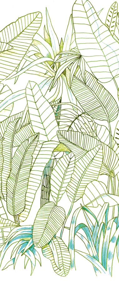 Zelená vliesová fototapeta na zeď, Listy, DG3GRA1011, Wall Designs III, Khroma by Masureel - Khroma by Masureel