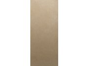 Hnědá vliesová fototapeta na zeď, DG3CLI1023, Wall Designs III, Khroma by Masureel
