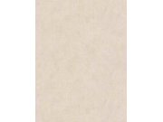 Vliesová tapeta na zeď Metropolitan Stories Hot Spots 36924-9V Tapety AS Création - SG Colours 27