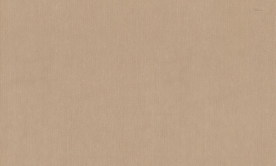 Tapety Yara - Emiliana Parati - Vliesová tapeta na zeď, světle hnědá, imitace kůry stromů, BM31051, Blumarine, Emiliana Parati Vliesová tapeta na zeď, světle hnědá, imitace kůry stromů, BM31051, Blumarine, Emiliana Parati - Emiliana Parati