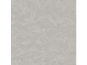 Vliesová tapeta na zeď, šedá, imitace štukové omítky, Z81010, Philipp Plein 2, Zambaiti Parati