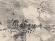 Tapety Yara Eijffinger - Obrazová tapeta vliesová 366101, 360x280cm, Wallpower Favorites, Eijffinger Obrazová tapeta vliesová 366101, 360x280cm, Wallpower Favorites, Eijffinger