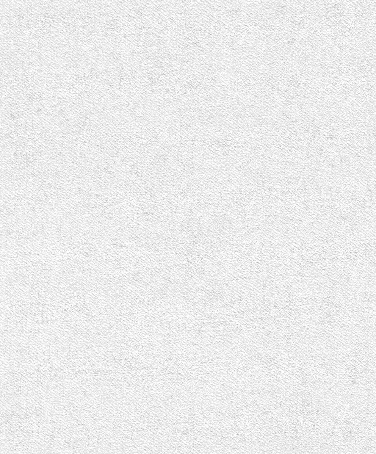 RASCH 507041 - tapetenwechsel-2027