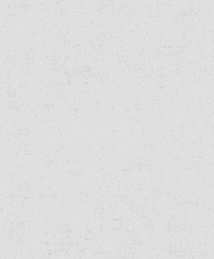 RASCH 489828 - vlies-2027