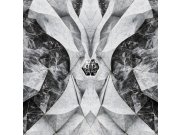 Vliesová obrazová tapeta na zeď, černá, šedá, mramor, tvary, logo, Z81067, 3x3m, Philipp Plein 2, Zambaiti Parati