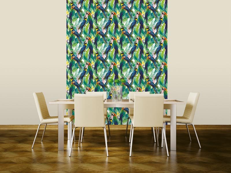 DIMEX WP-172-01V - DIMEX LINE