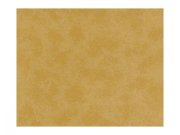 Vliesová tapeta na zeď Versace 93591-3 93591-3V