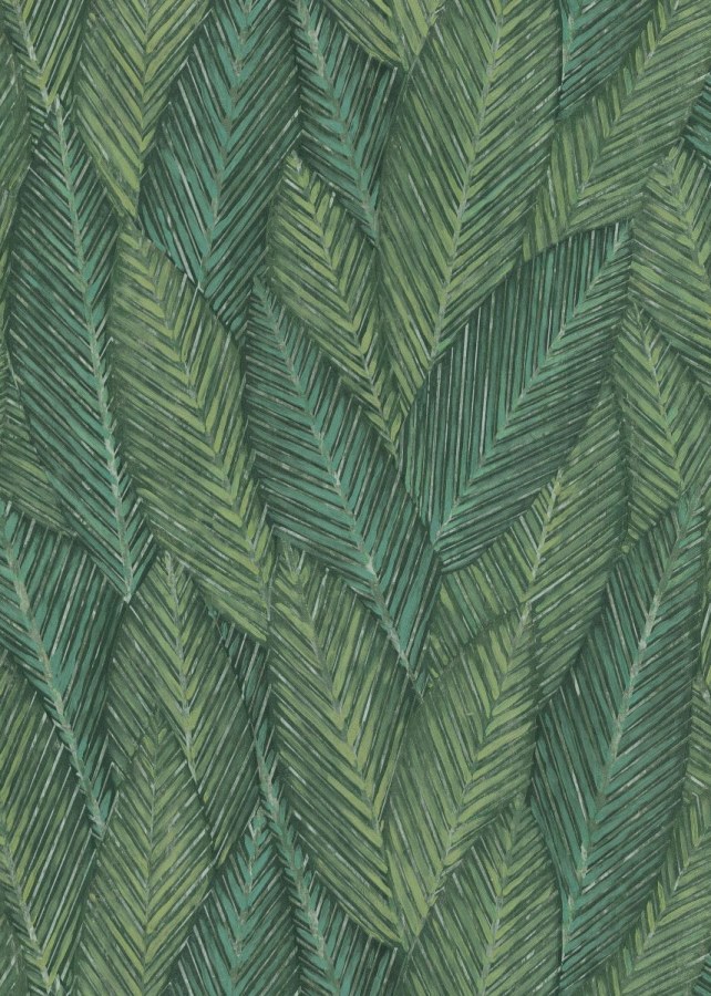 DIMEX 1039107V - MUSA