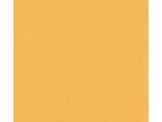 Vliesová tapeta na zeď VERSACE na zeď 38384-5 38384-5V