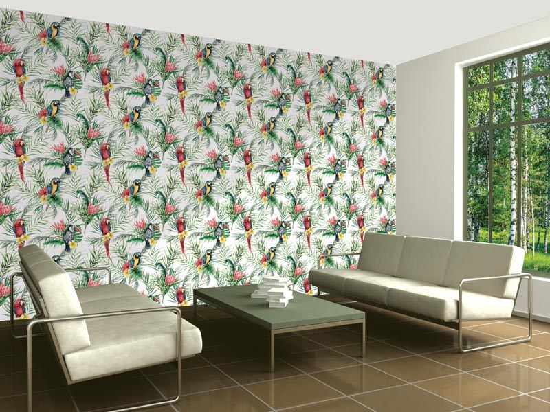 DIMEX WP-174-01V - DIMEX LINE