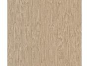 Vliesová tapeta na zeď Versace 37052-2 37052-2V