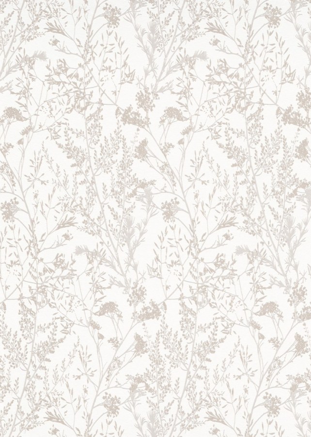 DIMEX 1025114V - MUSA