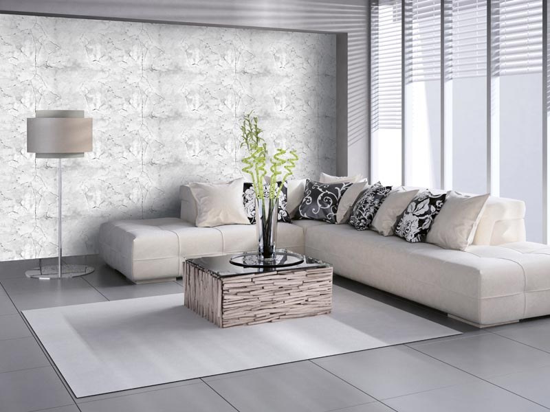 DIMEX WP-160-01V DIMEX WP-160-01V