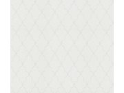 Přetíratelná vliesová tapeta na zeď Meistervlies 7 Create 38458-1 38458-1V