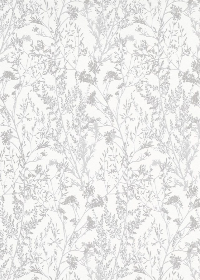 DIMEX 1025131V - MUSA