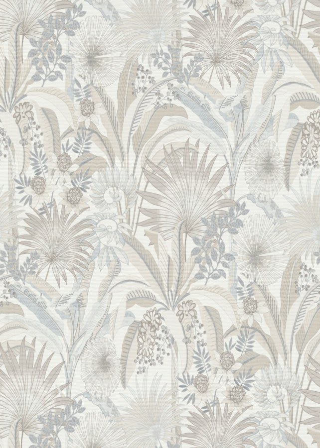 DIMEX 1039002V - MUSA