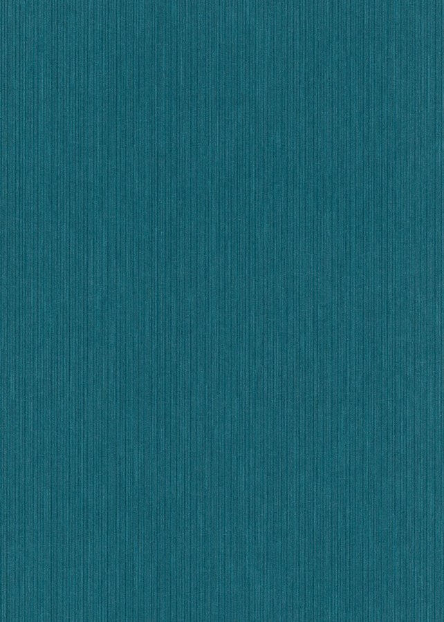 DIMEX 1000419V - MUSA