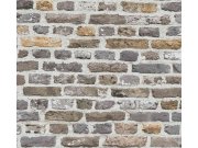 Vliesová tapeta na zeď DIMEX 2025 38829-2 38829-2V