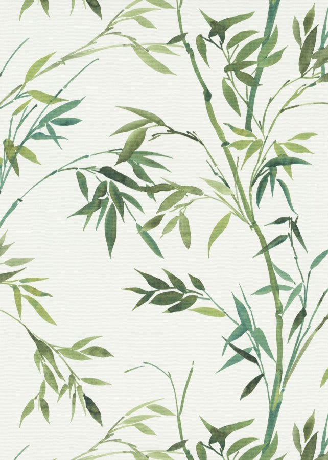 DIMEX 1038807V - MUSA