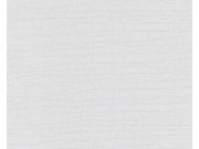 Přetíratelná vliesová tapeta na zeď Meistervlies 2460-11 2460-11V