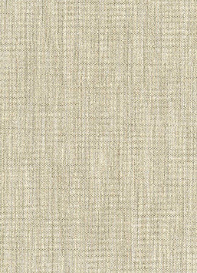 DIMEX 630902V - MUSA