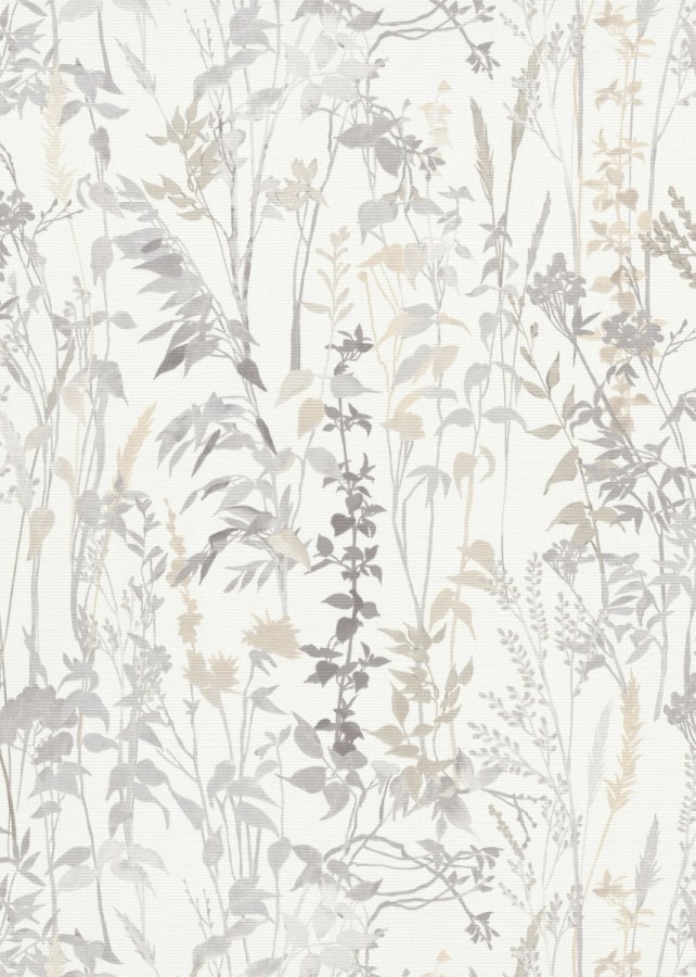 DIMEX 1025814V - MUSA