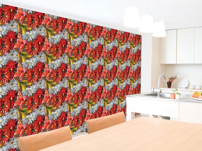 DIMEX WP-216-01V - DIMEX LINE