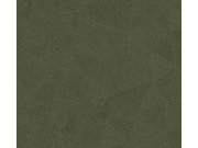 Vliesová tapeta na zeď DIMEX 2025 39129-5 39129-5V