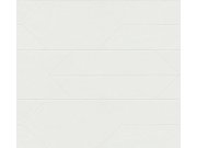 Přetíratelná vliesová tapeta na zeď Meistervlies 7 Create 38476-1 38476-1V