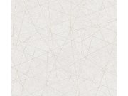 Vliesová tapeta na zeď DIMEX 2025 39177-1 39177-1V