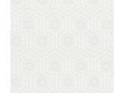 Přetíratelná vliesová tapeta na zeď Meistervlies 7 Create 38478-1 38478-1V